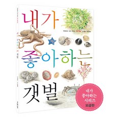 내가 좋아하는 갯벌, 호박꽃