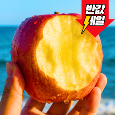 [파격초특가] 딱100명만 천상의맛 부사 사과, 1개, 3kg