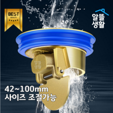 알뜰생활 하수구 황동 트랩 벌레 악취 반영구 차단, 1개