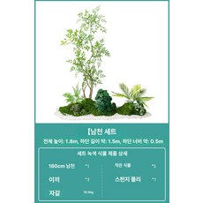 몬스테라 조화화분 북유럽 식물 조경 인조 스타일 실내외, 소형 조경 세트 남쪽 천연 대나무 2