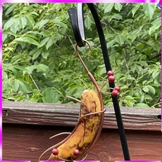 N96R 2 PCS 야외 교수형 나비 피더 표시된 금속 서식지 정원 장식 및 유인, 01 As Shown