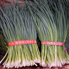 기찬드림 국내산 홀딱 쪽파 잔파 실파, 600g, 1개
