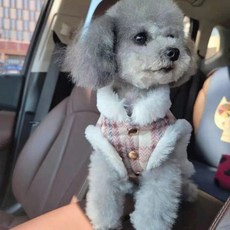 秋冬服裝可牽引 加絨 狗狗衣服 冬裝 泰迪 小狗 小型犬 比熊 博美 貓咪衣服 毛衣laiwc, 1個, 皮毛一體 藍色,M建議7-8斤