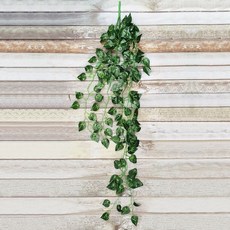 넝쿨 조화 C, 상세페이지 참조, 1개