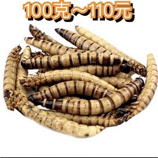 F邦邦水族 大麥蟲乾 蜜袋鼯/刺蝟/倉鼠/小動物飼料 龜/蛙/鳥/鸚鵡/龍魚/花羅漢適用, 1個, 100克