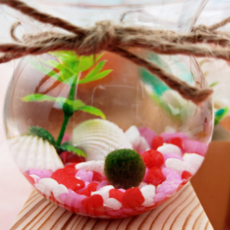 마리모 어항 키우기 DIY 키트 세트 수경식물