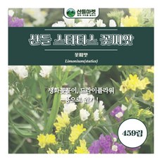 산들마켓 스타티스 씨앗 459립 꽃꽂이 드라이플라워용 허브씨 종자, 1개