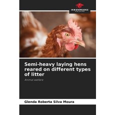 (영문도서)Semi-heavy laying hens reared on different types of litter Paperback, Our Knowledge Publishing, English, 9786207480975