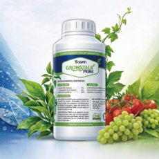 [풀판다온라인 카페 회원 전용] SUAN GROWSTALK PRIME 액상 비료 500ml 천연인지질(Lyso-Phospholipid LPE)함유, 1개