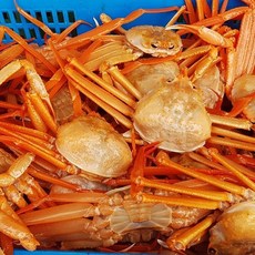 [식탁이야기][산지직송] 구룡포 홍게 13-16마리 (1박스/ 2kg내외), 1개