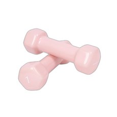 육각 덤벨 아령 1kg 2개 빠른배송 운동기구 보관 홈짐
