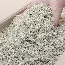 가락시장521 국산 어린이 밥멸치 잔멸치 1.5kg (특품) 아기 저염 햇멸치 세세멸치, 1개