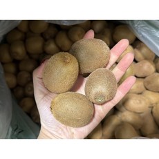 <가람> 제주산 신선한 그린키위/새콤달콤 참다래/프리미엄, 1박스, 3kg 주스용(60g이하)