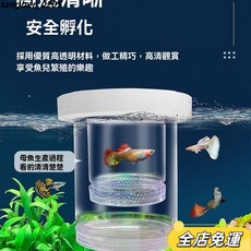産房隔離箱防吞魚繁殖盒魚苗保護透氣繁殖盒孵化密網，魚缸隔離網，小魚生產必備, 大號懸浮款一組適合水深20厘米以上, 1個