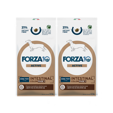 포르자10 독 인테스티널 콜론 페이즈1 미니앤토이 만성설사, 2개, 1.5kg, 소화+장건강