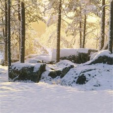 스튜디오배경지 유튜브 설산 설경 촬영 프레임, 2x1.5m, 1개, 아미그린