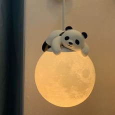 무드등 인테리어 보름달 천체 감성 수면등 LED 방등 거실 침실 천장 조명 줄 실내 전등 램프, 3D 15cm 작은 판다 3색