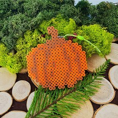 5인세트 늘봄교실 가을 환경수업 비즈 열매 열쇠고리 만들기 진로활동실 방과후학교