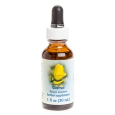 Flower Essence Services 荊豆花精滴劑, 1個, 30毫升