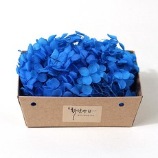 화연양화 프리저브드플라워 블루밍 케이스 수국 30색, 21 블루