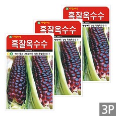세인화분 흑 찰옥수수 20g - 국산 옥수수 씨 씨앗, 3개