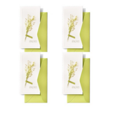 더솜씨 플라워 축하 메세지 돈봉투, 그린 색상, 4개