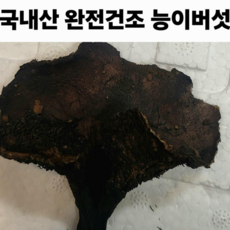 국산 국내산 완전건조 능이버섯 50g 112800 (생물 600g이상 손질), 1박스, 50g (건조)