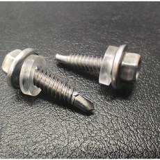 浪板螺絲 中脊板用螺絲 鑽尾螺絲 304白鐵包頭410白鐵六角頭束尾 洗白 PVC墊片 薄鐵板用, 1個