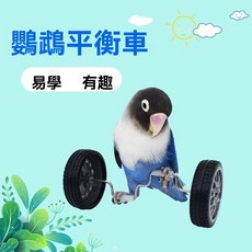 小寵玩具 金絲熊平衡車 鸚鵡玩具 解悶陪伴 益智道具 倉鼠滑板車 技能訓練鳥用 小寵平衡車, 1個, 小寵通用：趣味玩具平衡車,售後服務