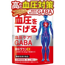 GABA GMP 30 30 GABA 혈압 내리는 서프리 기능성 표시 식품 국내 제조 알갱이, 1개
