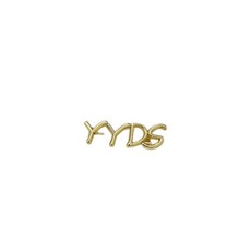 YYDS 字母胸針, 1個, 金色