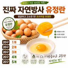진짜 자연방사 유정란 20구 1개 2개 3개 4개 5개/ 자연방사 유정란 특상급 프리미엄 난각번호1번 고소한노른자 무항생제 동물복지 유정란 친환경 탱글탱글한 노른자
