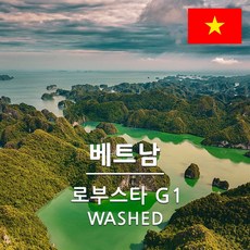 생두대빵 베트남 로부스타 G1 생두, 1kg, 1개