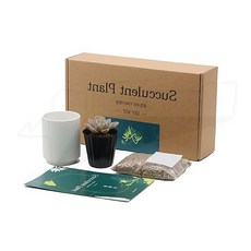 다육이화분 원예 식물 가드닝 반려식물 선인장 미니화분, 귀천