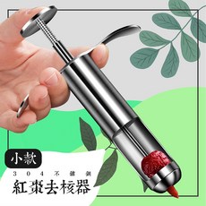 304不鏽鋼紅棗去核器 水果去籽器 櫻桃山楂取心器, 1個, 小支