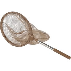 2553 자연관찰채집채, 1개