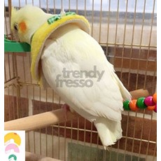 옵트샵 앵무새 자해방지 넥카라 옷 조류옷