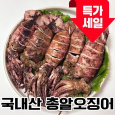 [당일발송] 국내산 총알 통찜 오징어 미니오징어, 1박스, 500g(5-7미)