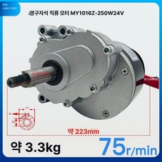 전동휠체어 모터 24V250W 브레이크 브러시 저속 전동 부품, 1개, 24V 250W 75rmin 샤프트 패턴 전기 브레이크