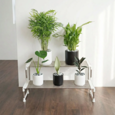 DAMDA 스텐 계단식 화분정리대 2단 화분선반 정리 받침대