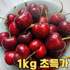대형마트납품 미국산 캘리포니아 고당도 생 체리, 1박스, 1kg - 10 row