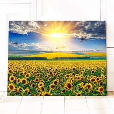 세잔느화실 캔버스액자 12.활짝핀해바라기들판3