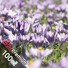 B043 스프링플라워 100ml (Spring flower) 프래그런스오일 캔들 디퓨저 향수, 1개