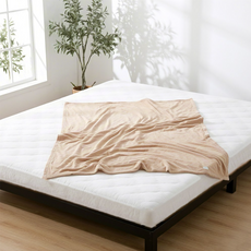 하루꿈 스펀지 매트리스 고탄성 고밀도 바디핏 맞춤형 숙면템 편안한 매트리스, 8cm, 화이트