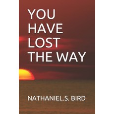 You Have Lost the Way Paperback, Independently Published, English, 9781796584660