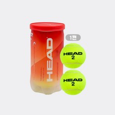 헤드 챔피언쉽 테니스볼 1캔/테니스공/시합구