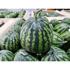 [가성비 1등] 고당도 가정용 수박, 1개, 못난이 3kg 내외