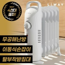 리웨이 이동식 5핀 전기 라디에이터 화장실 동파방지, 단일속성