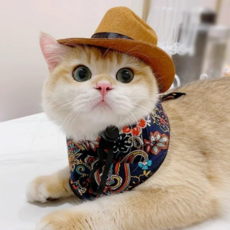 WarmPaws 반려동물 귀염뽀짝 동물 Cowboy 모자+워머 고양이모자 강아지모자 코믹 모자, 1세트, 블루