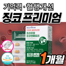고함량 징코 플러스 기억력 혈액 혈행 개선 순환 은행잎추출물 인지력 에좋은 수험생 감퇴 식약청 식약처 혈관 집중력 청소, 1박스, 30정